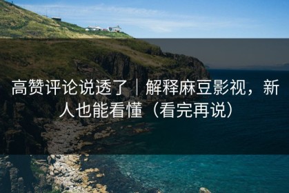 高赞评论说透了｜解释麻豆影视，新人也能看懂（看完再说）