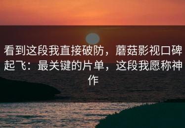 看到这段我直接破防，蘑菇影视口碑起飞：最关键的片单，这段我愿称神作