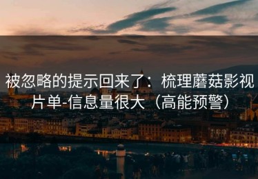 被忽略的提示回来了：梳理蘑菇影视片单-信息量很大（高能预警）
