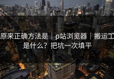 原来正确方法是｜p站浏览器｜搬运工是什么？把坑一次填平