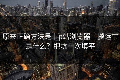 原来正确方法是｜p站浏览器｜搬运工是什么？把坑一次填平
