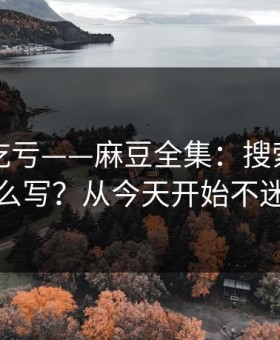 不看会吃亏——麻豆全集：搜索关键词怎么写？从今天开始不迷路