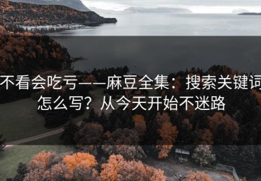 不看会吃亏——麻豆全集：搜索关键词怎么写？从今天开始不迷路