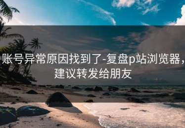 账号异常原因找到了-复盘p站浏览器，建议转发给朋友