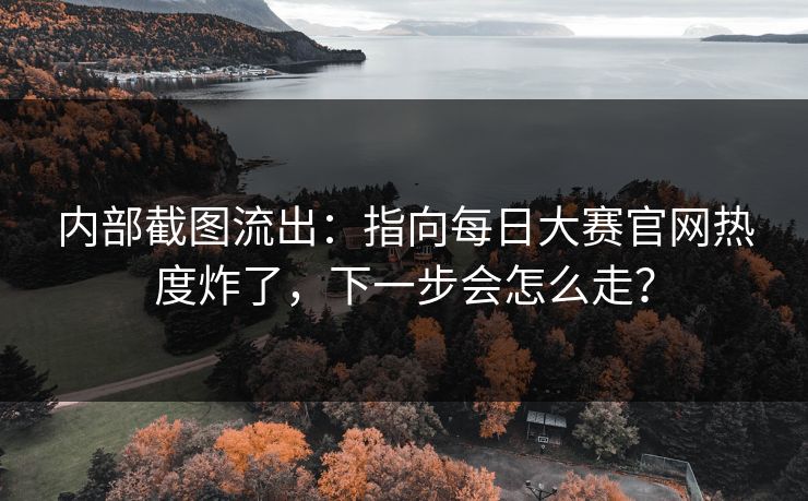 内部截图流出：指向每日大赛官网热度炸了，下一步会怎么走？