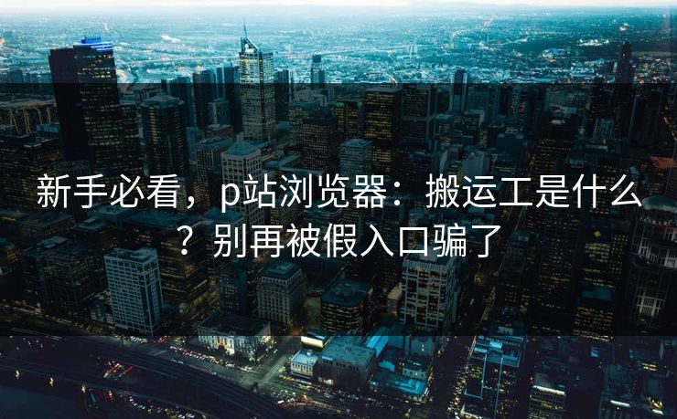 新手必看，p站浏览器：搬运工是什么？别再被假入口骗了