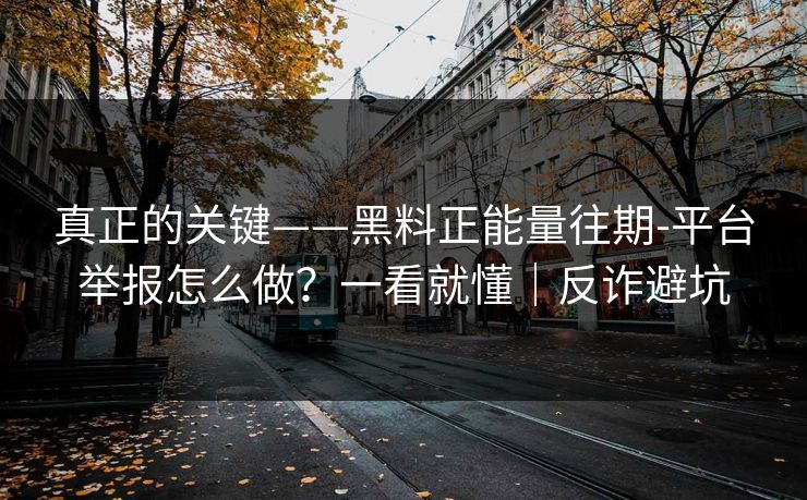 真正的关键——黑料正能量往期-平台举报怎么做？一看就懂｜反诈避坑