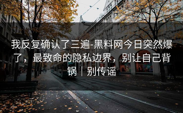 我反复确认了三遍-黑料网今日突然爆了，最致命的隐私边界，别让自己背锅｜别传谣