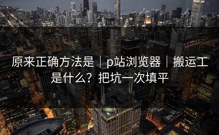 原来正确方法是｜p站浏览器｜搬运工是什么？把坑一次填平