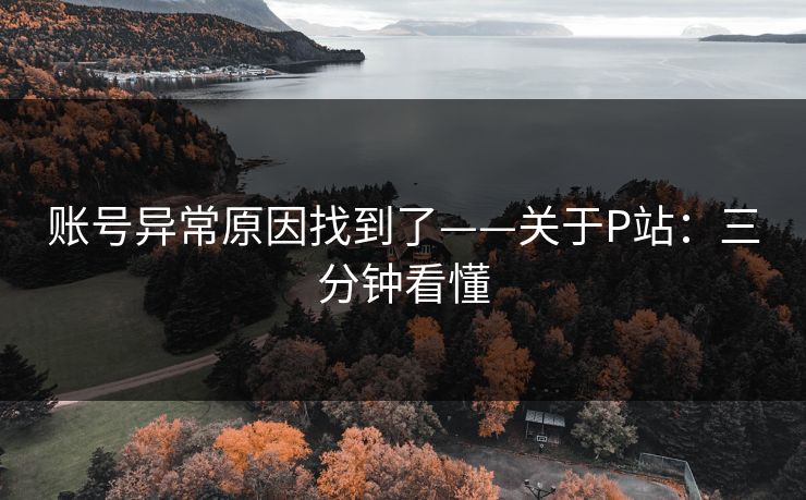 账号异常原因找到了——关于P站：三分钟看懂