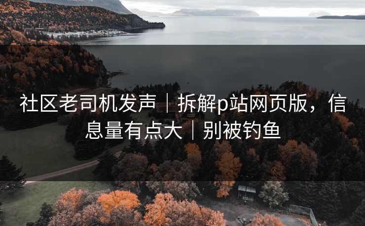 社区老司机发声｜拆解p站网页版，信息量有点大｜别被钓鱼