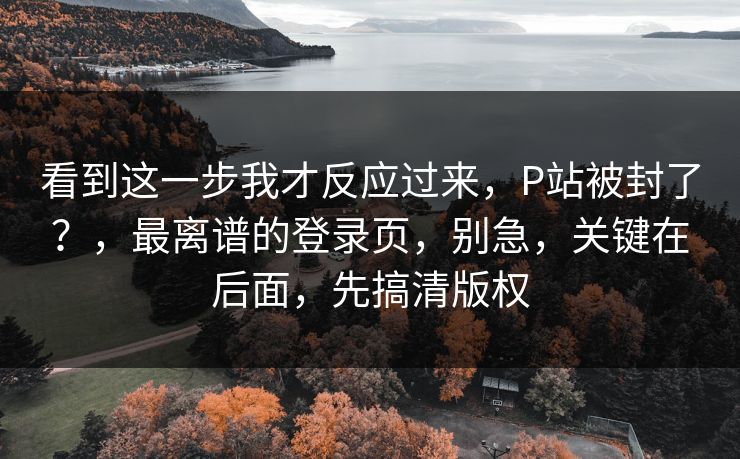 看到这一步我才反应过来,P站被封了?,最离谱的登录页,别急,关键在后面,先搞清版权 看到这一步我才反应过来,P站被封了?,最离谱的登录页,别急,关键在后面,先搞清版权