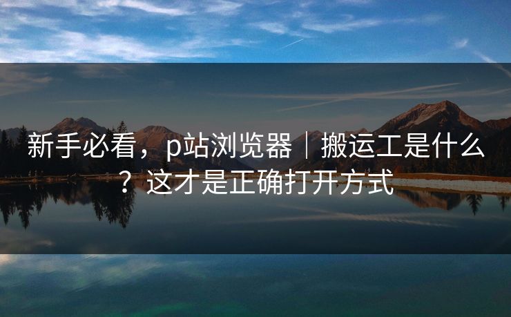 新手必看，p站浏览器｜搬运工是什么？这才是正确打开方式