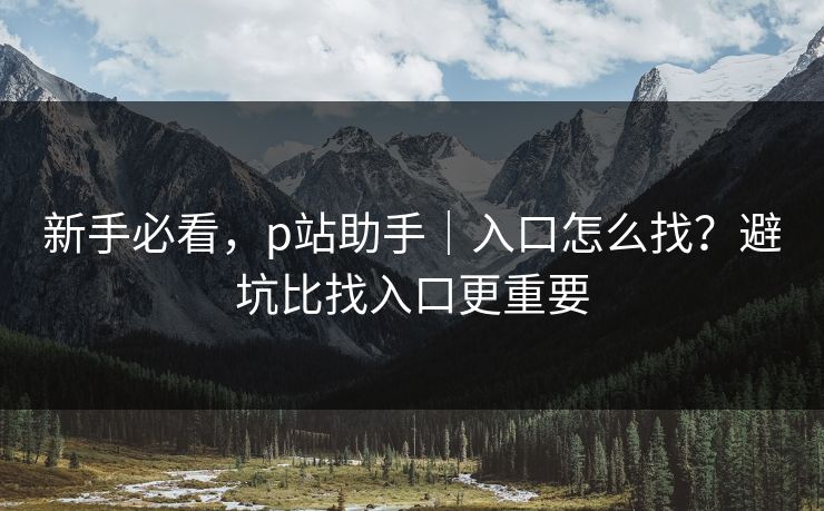 新手必看，p站助手｜入口怎么找？避坑比找入口更重要