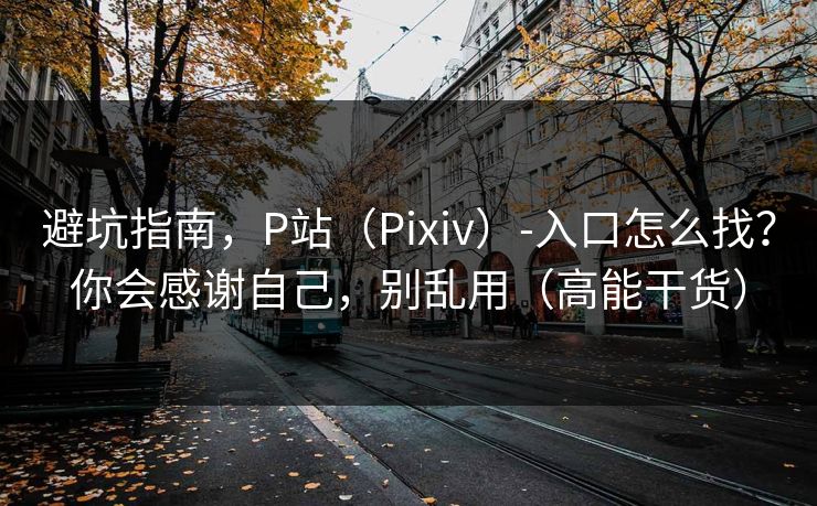 避坑指南，P站（Pixiv）-入口怎么找？你会感谢自己，别乱用（高能干货）